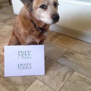 Meet your Posher, Debra